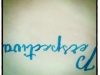 caligrafía009